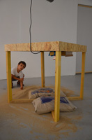 files/Table_vibrante/DSC_0055_200.jpg